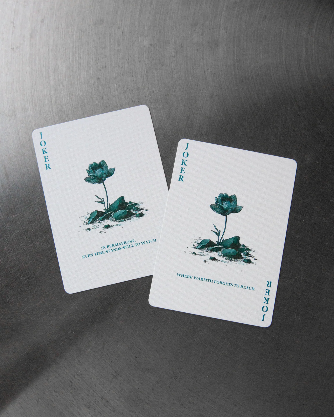 Arctic Lotus · Arctic Lotus · 05