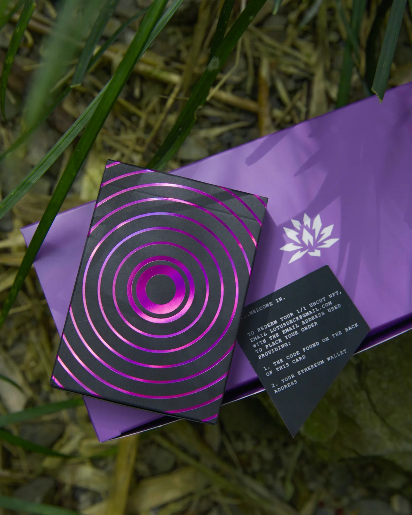 Lustre Echo · Lustre Echo · 06