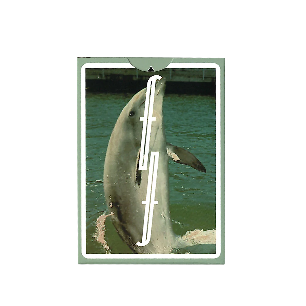 Flipper Fontaine · Flipper Fontaine · 01