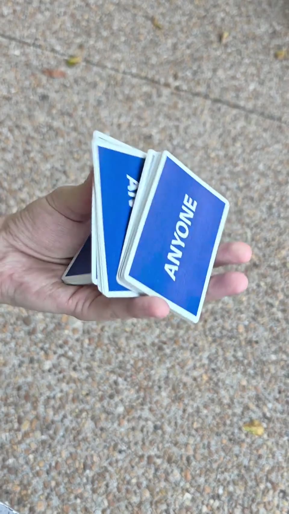 Cardistry and cicadas 🪲🎶 · 视频画面