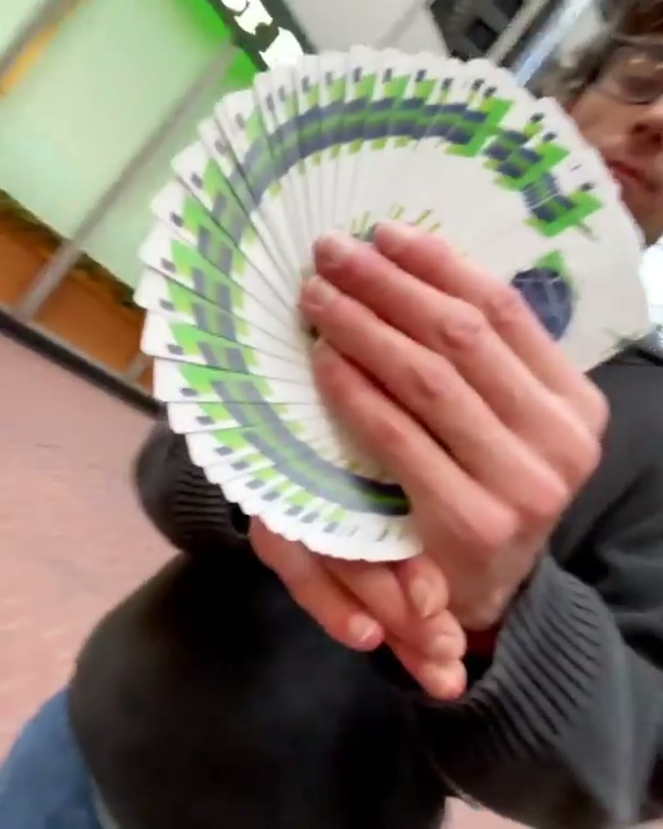 ACCORDIONS! · 视频画面