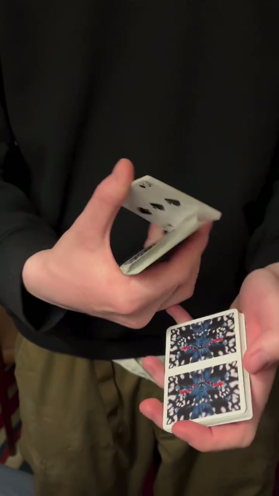 Moths getting pooped🥲#cardistry · 视频画面