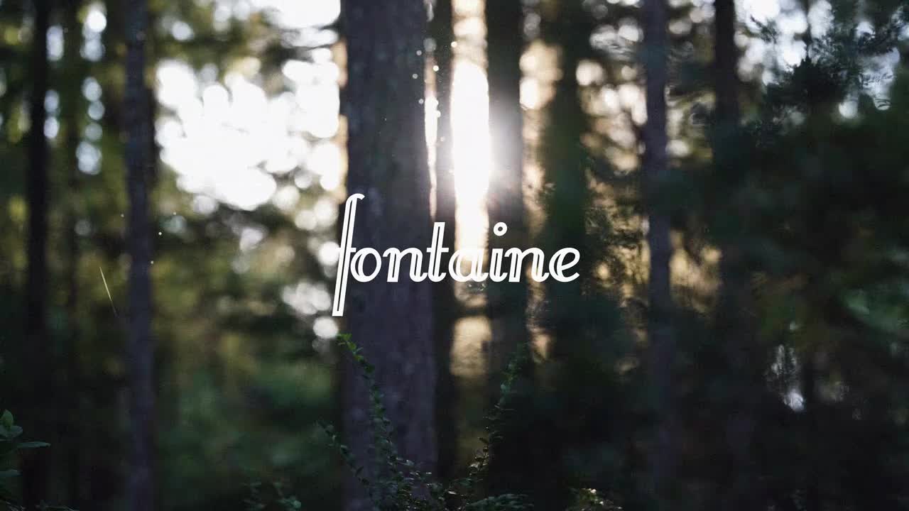 THE WOODLAND ZOMBIE · 视频画面