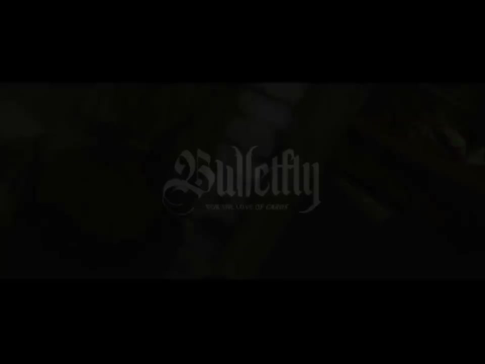 BulletFly · 视频画面
