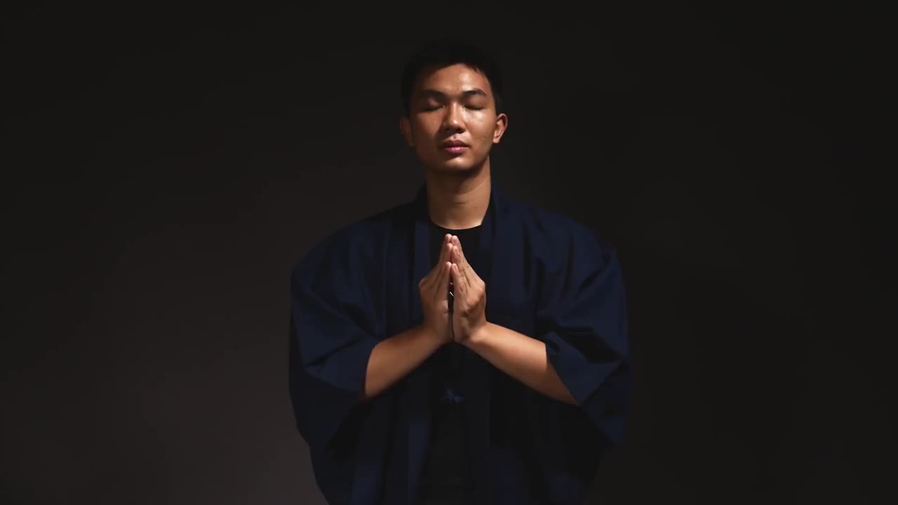 SENSEI · 视频画面