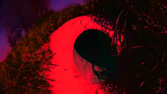 Hersenspinsels · 视频画面