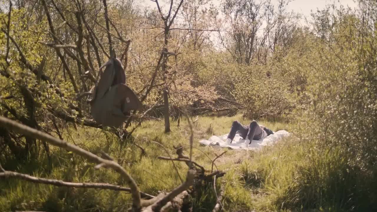 Fontaine Fantasies · 视频画面