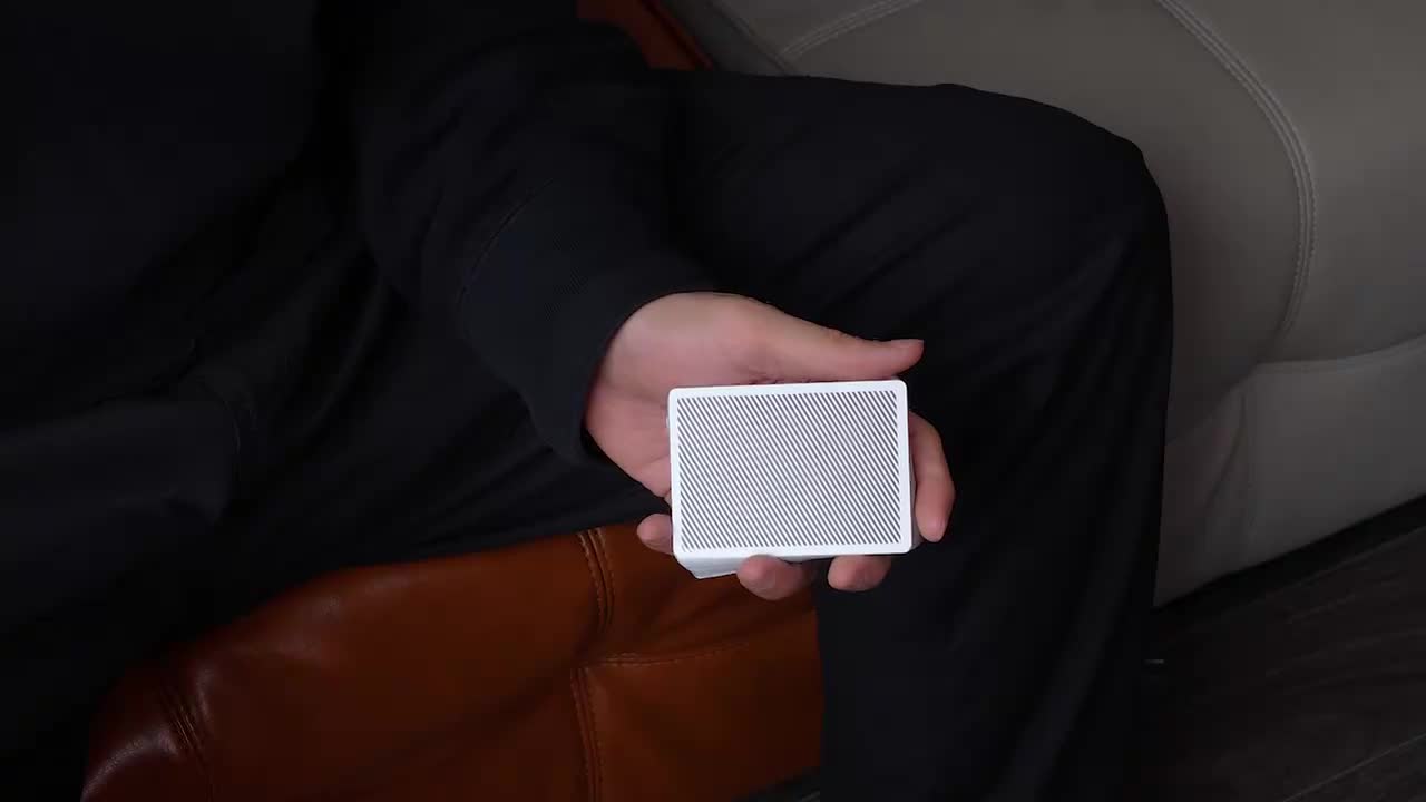 Snake Cascade Tutorial · 视频画面