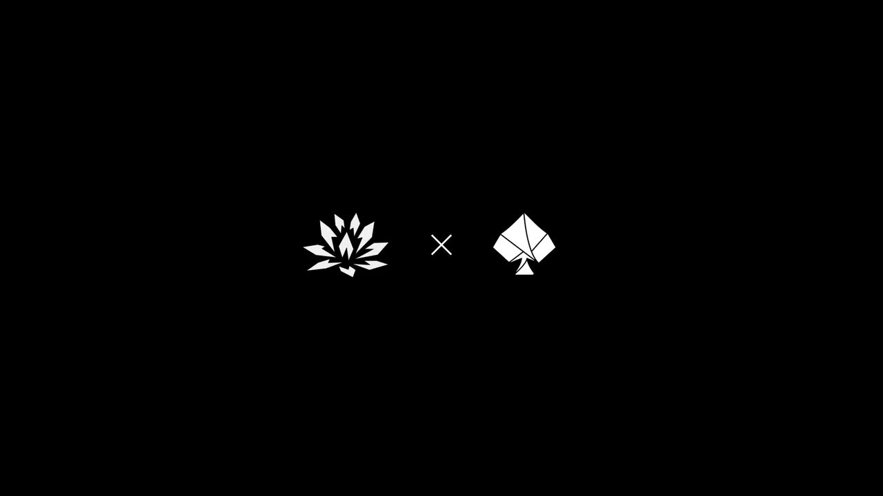 FLUX · 视频画面