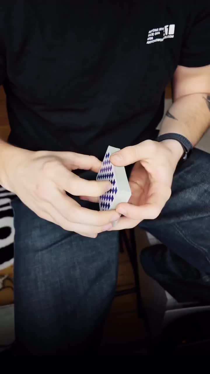 Zen Flip · 视频画面