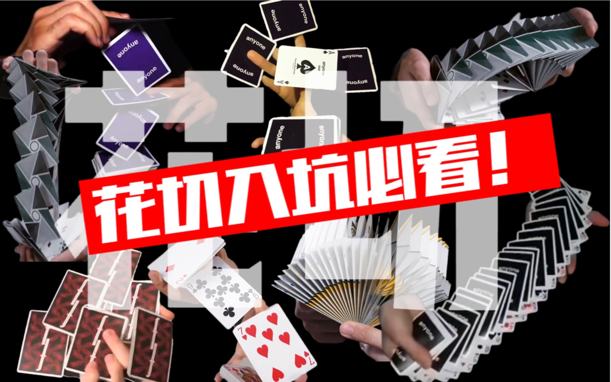 花切入坑片单 · 视频画面