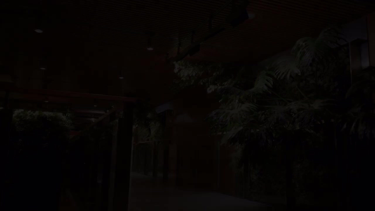 DEAD STOCK · 视频画面