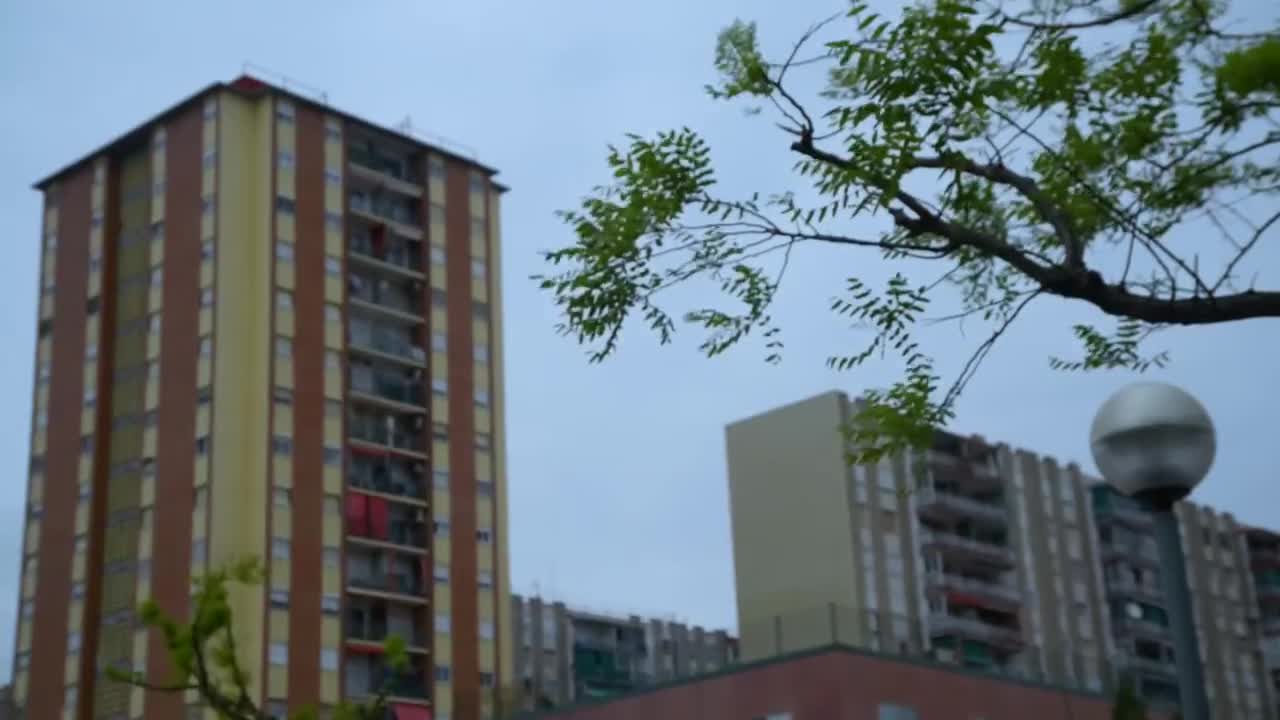 2019 CCC - Round 1 · 视频画面
