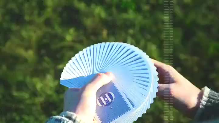 2019 CCC entry · 视频画面