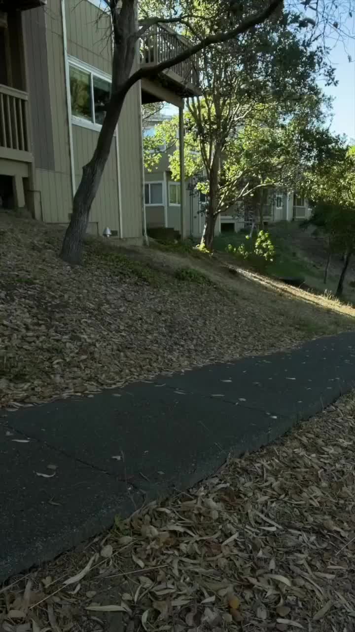 Leaf · 视频画面