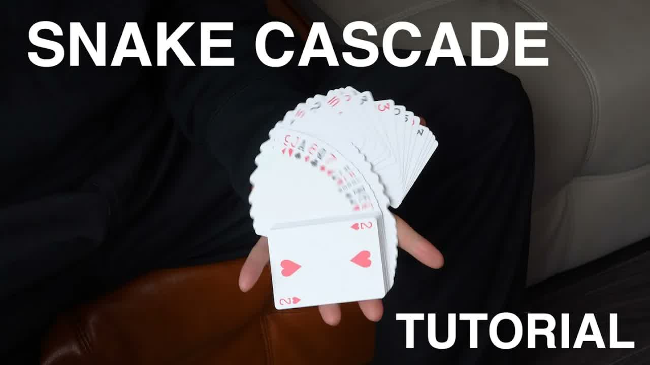 Snake Cascade Tutorial by Yang Nguyen · 视频画面