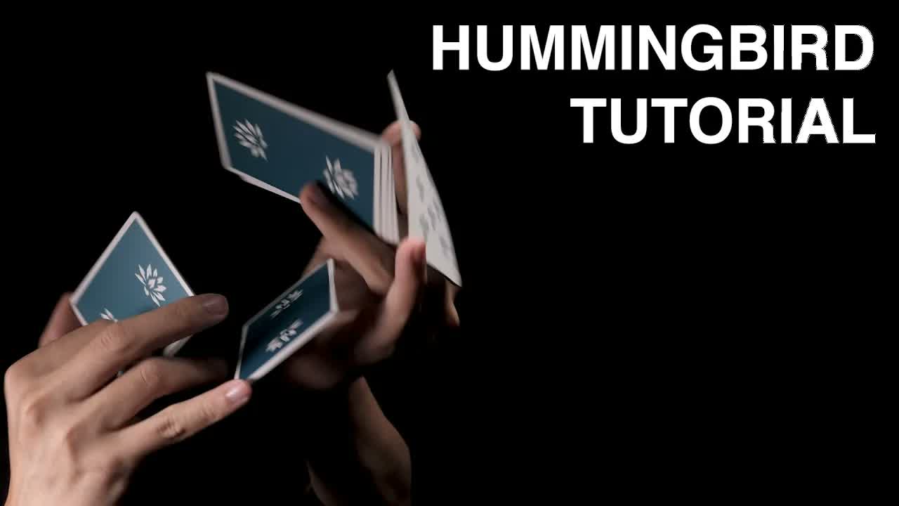 Cardistry | Hummingbird Tutorial by Daniel Lin · 视频画面