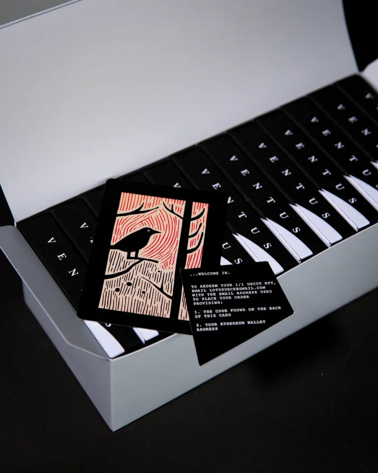 Umbra Ventus · Umbra Ventus · 06