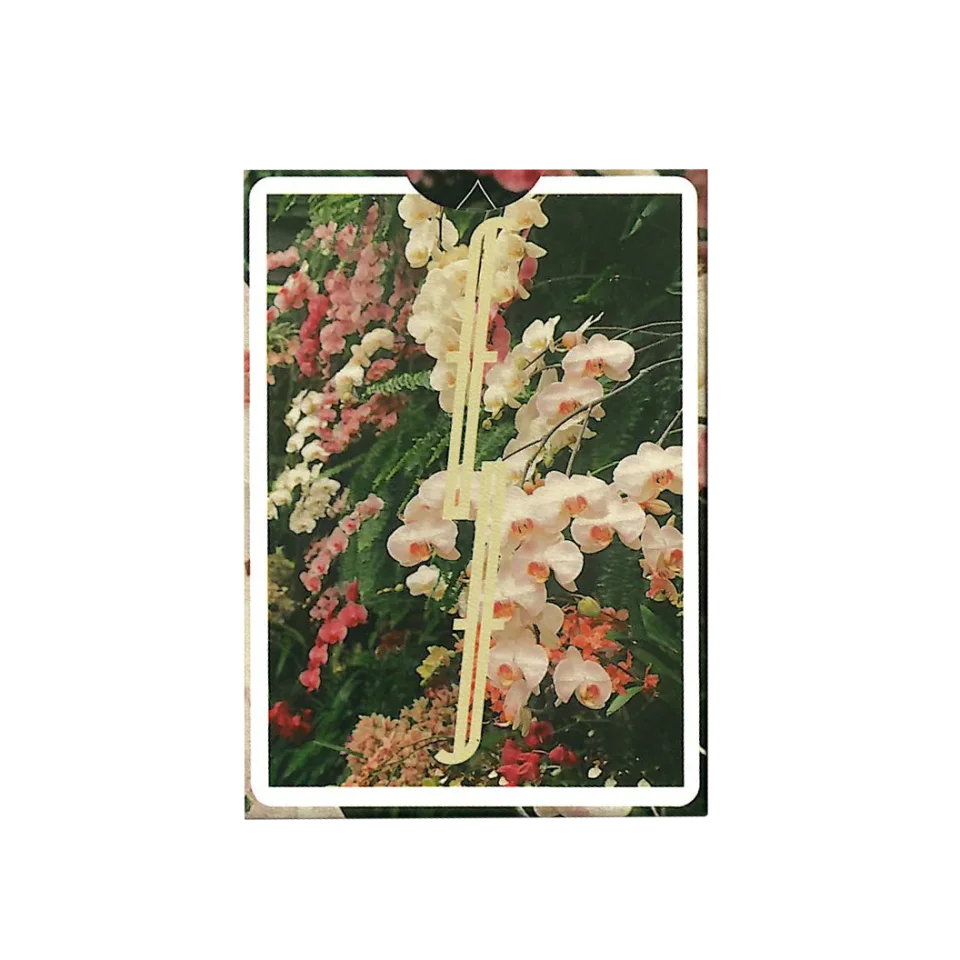 Botanical Fontaine · 纸牌图片