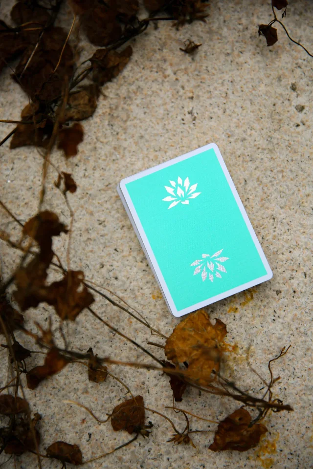 Lotus #01 · Lotus #01 · 02