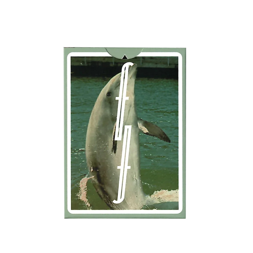 Flipper Fontaine · 纸牌图片
