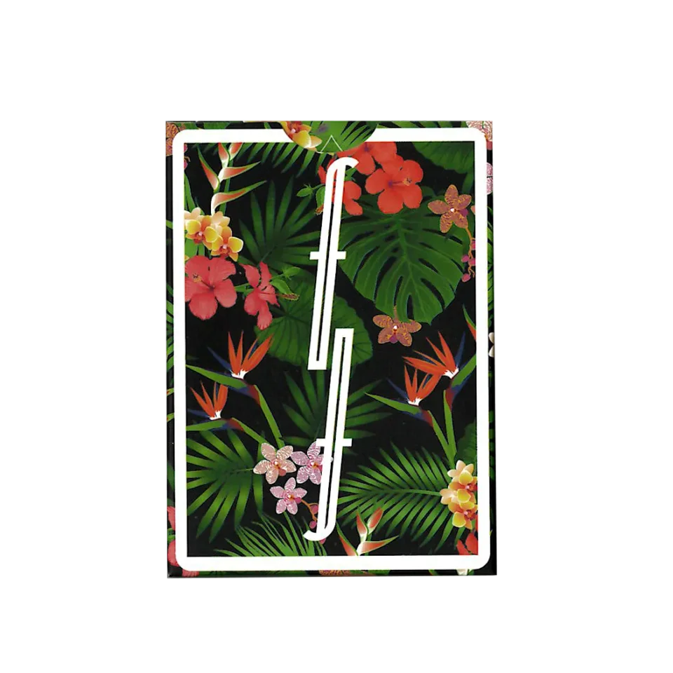 Vacation Fontaine · 纸牌图片