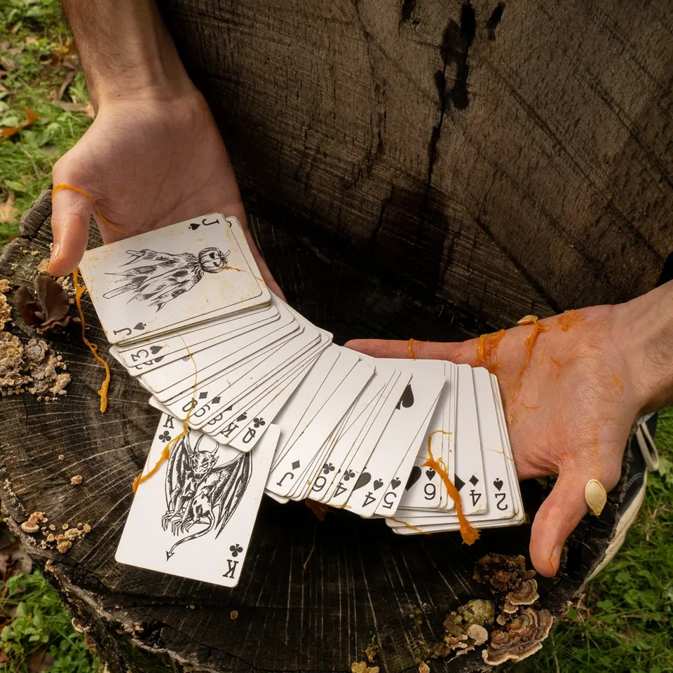 COBWEB PLAYING CARDS · COBWEB PLAYING CARDS · 02