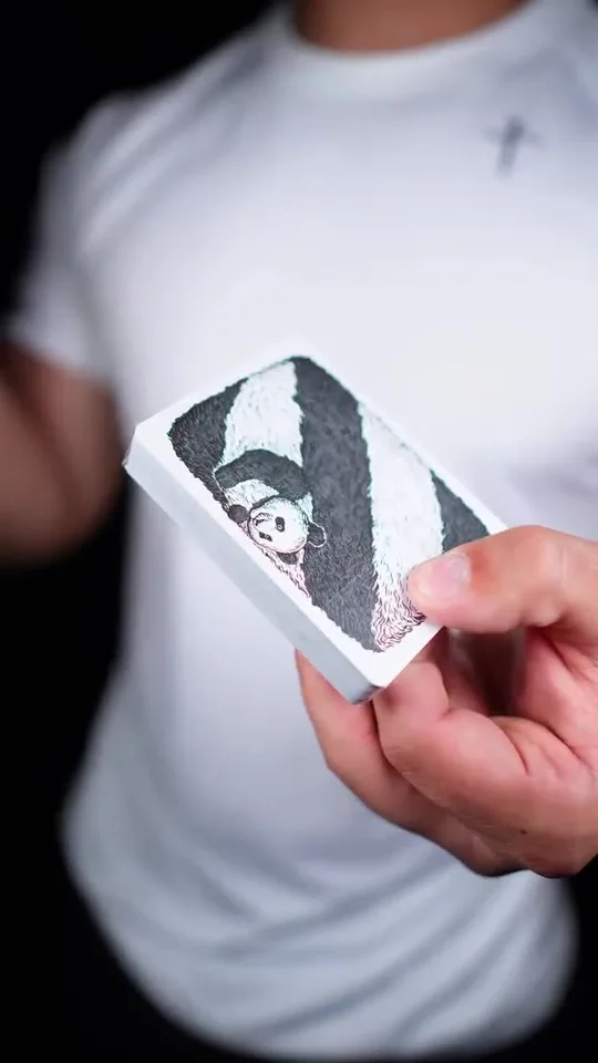 Panda Playing Cards(ASMR) #reels #asmr #satisfying #cards #silasnoyes1
