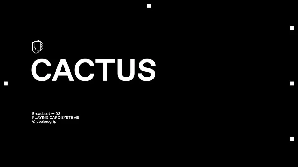 Cactus · 视频画面